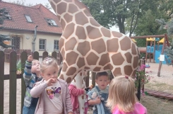 IMG20240909093202 